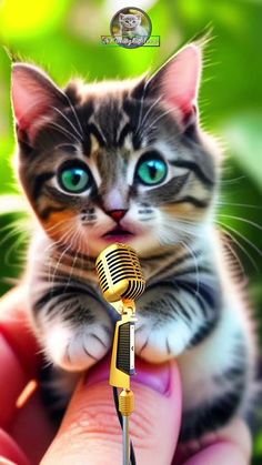 a small kitten sitting on top of a microphone in front of a person's hand