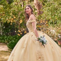 Quinceanera Gown With Intricate Embroidery, Quinceanera Dresses With Intricate Embroidery And Fitted Bodice, Quinceanera Ball Gown With Intricate Embroidery, Quinceanera Embroidered Ball Gown, Embroidered Ball Gown With Fitted Bodice For Quinceanera, Floor-length Gown With Intricate Embroidery For Quinceanera, Embroidered Floor-length Ball Gown For Quinceanera, Fitted Bodice Gown With Floral Embroidery For Quinceanera, Gown With Floral Embroidery And Fitted Bodice For Quinceanera