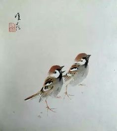 two birds standing next to each other on top of a white surface with writing in the background