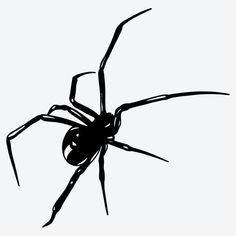 a black and white image of a spider