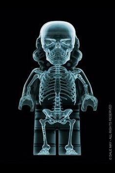 a skeleton with arms and legs in the shape of a human body, on a black background