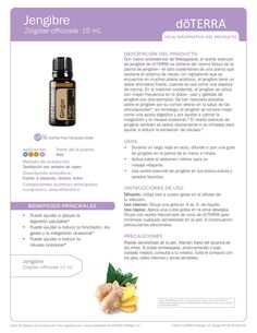 Essential Oils Guide, Ginger Essential Oil, Essential Oil Benefits, Oil Uses, Essential Oil Uses