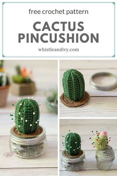 a cactus in a jar with the text free crochet pattern cactus pincusion