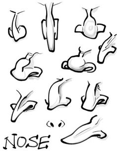 various types of nose shapes and their meanings in black ink on white paper with the words nose