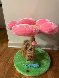 a cat playing with a toy on top of a green mat in front of a white wall