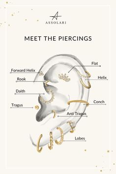 the parts of an ear that are labeled in gold and white text on a white background