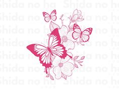 pink butterflies and flowers on a white background