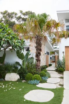 a white house with palm trees in the front yard and walkway leading up to it