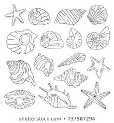 sea shells and starfishs are drawn in black ink on a white paper,