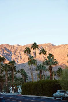 palm trees line the street in front of mountains