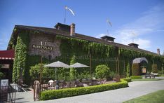 an outdoor restaurant with ivy covered walls and patio seating area, surrounded by green hedges