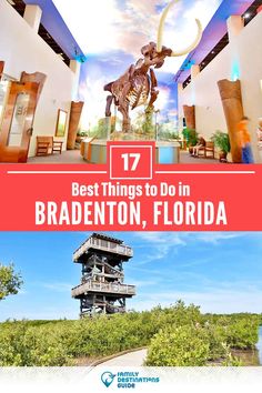 the best things to do in brandon, florida