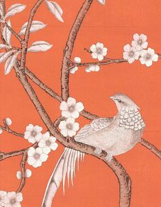 a bird sitting on a tree branch with white flowers in the foreground and an orange background