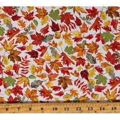 a white background with red, yellow and green leaves on it's surface next to a ruler