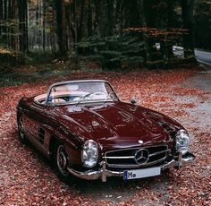 an old mercedes sits in the middle of leaves on the ground and trees behind it