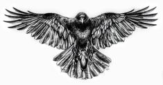 a black and white drawing of a bird with wings spread out in front of the camera