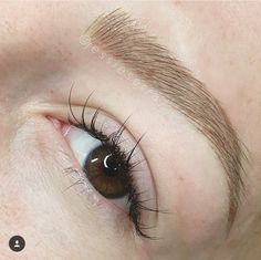 Faded Eyebrows, Tattoo Eyebrows, Faded Tattoo, Cosmetic Tattooing, Brow Tattoo, Work Flow, Fairy Tattoo