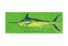 a painting of a blue marlin fish on a green background with the words blue marlin