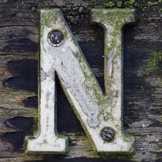 the letter n is made out of wood and has moss growing on it's sides