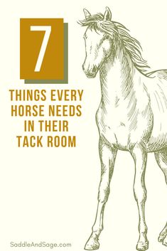 a horse with the words 7 things every horse needs in their tack room on it