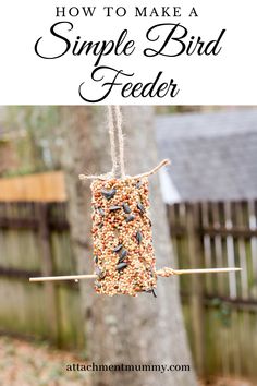 a bird feeder hanging from a tree with the words how to make a simple bird feeder