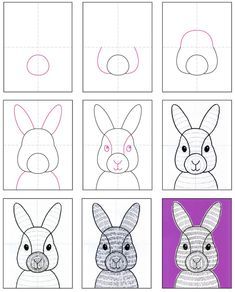 the steps to draw a rabbit for kids