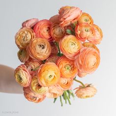 a person holding a bouquet of pink and yellow flowers with green stems in their hands