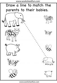 worksheet for children to learn how to draw and color the animals in their habitat