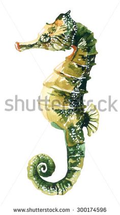 watercolor painting of a seahorse on white background with green and yellow stripes, side view