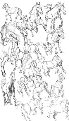 a bunch of horses that are in the air