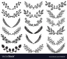 a set of decorative floral design elements