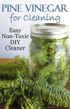 pine vinegar for cleaning easy non - tonic diy cleaner