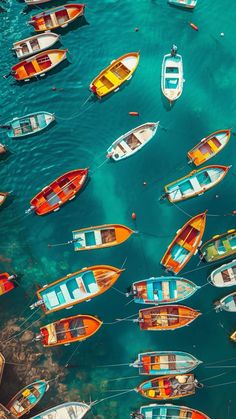 many small boats floating in the water near each other and tied to ropes with rope