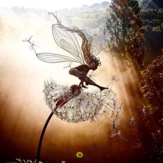 two metal sculptures sitting on top of a dandelion in the sunbeams