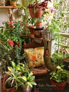 many potted plants are sitting on the balcony