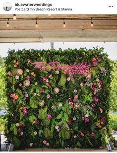 a green wall with pink flowers and the word thank you written on it is surrounded by greenery