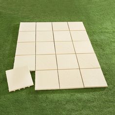 two pieces of white tile sitting on top of green grass