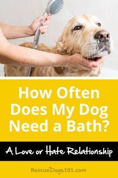 a dog is being washed in the bathtub with his owner's hand and head