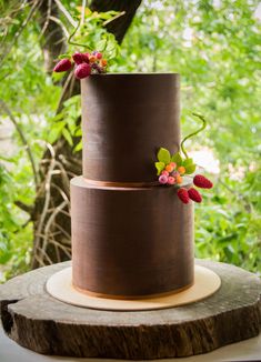 a three tiered chocolate cake with berries on top and greenery in the background