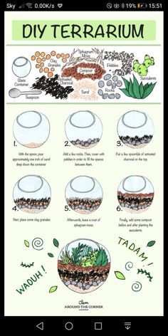 an info sheet describing how to use diy terrarium for plants and other things