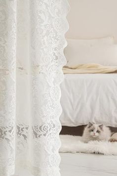 a cat is laying on the floor in front of a window with white lace curtains