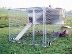 a chicken coop with a slide in the grass