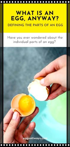 an egg being cracked in half with the words what is an egg anyway? on it