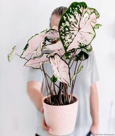 a man holding a potted plant in his hands