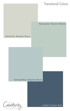 several shades of gray and white with the words transstinal colors on them, including blue