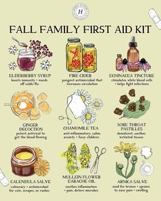 Family First Aid Kit, Herbal First Aid Kit, Herbal First Aid, Apopka Florida, Herbal Education, Herbal Remedies Recipes, Medical Herbs, Sustainable Gardening