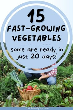 Picture of woman in garden crouching in front of basket full of fresh vegetables with text overlay 15 Fast-Growing Vegetables Some Are Ready in Just 20 Days! Outdoor Design Ideas, Natural Gardening, Fast Growing Vegetables, Garden Remedies, Gardening Projects, Gardening Zones, Growing Gardens, Backyard Vegetable Gardens