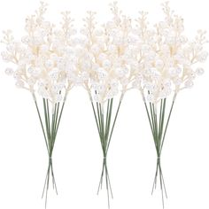 three white flowers with long stems in front of a white background