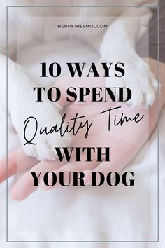 someone holding their dog's paw with the words, 10 ways to spend quality time with your dog