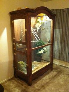 an old wooden display case with plants in it